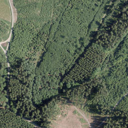Satellite imagery of Ehren-Berg, DE