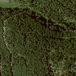 Satellite imagery of Roth, DE