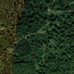 Satellite imagery of Roth, DE