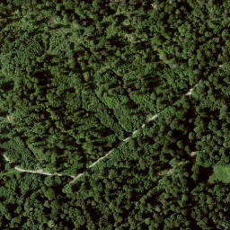 Satellite imagery of Falkenstein, DE