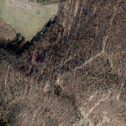 Satellite imagery of Schimberg, DE