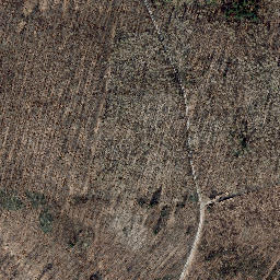 Satellite imagery of Schimberg, DE