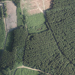Satellite imagery of Pankoppe, DE