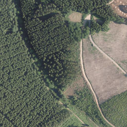 Satellite imagery of Pankoppe, DE