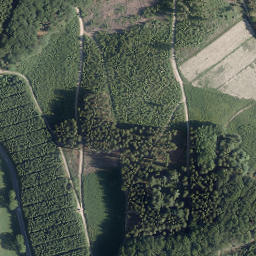Satellite imagery of Ringelskopf, DE