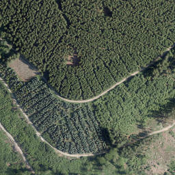 Satellite imagery of Ehren-Berg, DE