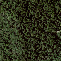 Satellite imagery of Falkenstein, DE