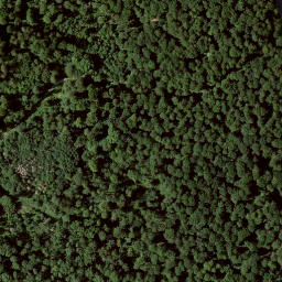Satellite imagery of Falkenstein, DE
