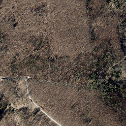 Satellite imagery of Schimberg, DE