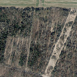 Satellite imagery of Forstberg, DE