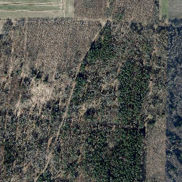 Satellite imagery of Forstberg, DE