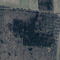 Satellite imagery of Forstberg, DE