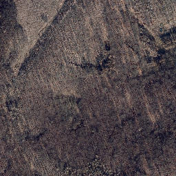 Satellite imagery of Palmberg, DE