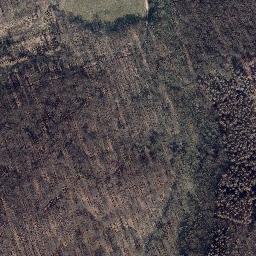 Satellite imagery of Palmberg, DE