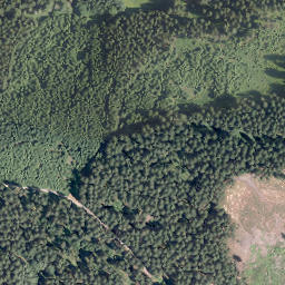 Satellite imagery of Kohlhölzchen, DE