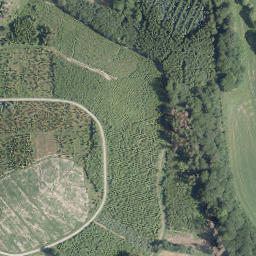 Satellite imagery of Wiesenberg, DE