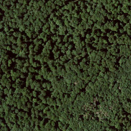 Satellite imagery of Altenburg, DE