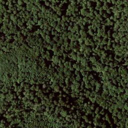 Satellite imagery of Falkenstein, DE
