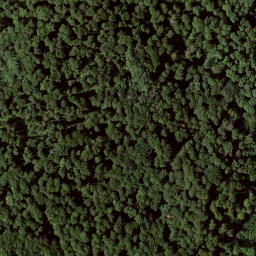 Satellite imagery of Falkenstein, DE