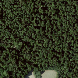 Satellite imagery of Falkenstein, DE