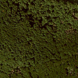 Satellite imagery of Schwengeberg, DE