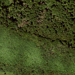 Satellite imagery of Heiligenberg, DE