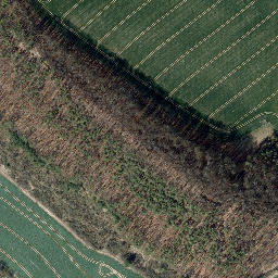 Satellite imagery of Paulitz, DE