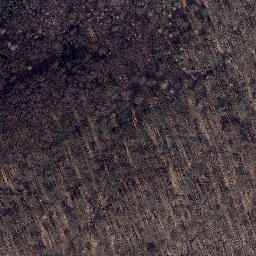 Satellite imagery of Palmberg, DE