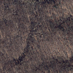 Satellite imagery of Palmberg, DE