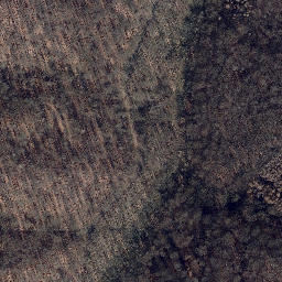 Satellite imagery of Palmberg, DE