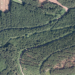 Satellite imagery of Pankoppe, DE