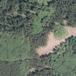 Satellite imagery of Kohlhölzchen, DE