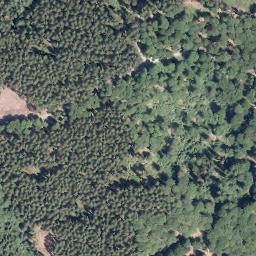 Satellite imagery of Kohlhölzchen, DE