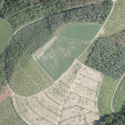 Satellite imagery of Wiesenberg, DE