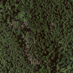 Satellite imagery of Wartberg, DE