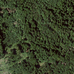 Satellite imagery of Altenburg, DE