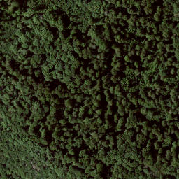 Satellite imagery of Altenburg, DE