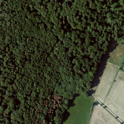 Satellite imagery of Altenburg, DE