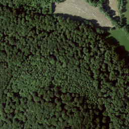 Satellite imagery of Sengelsberg, DE