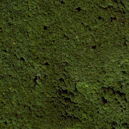 Satellite imagery of Hohestein, DE