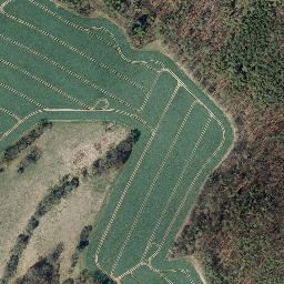 Satellite imagery of Paulitz, DE