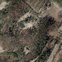 Satellite imagery of Eichberg, DE