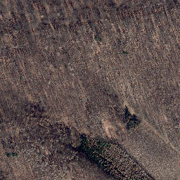 Satellite imagery of Palmberg, DE