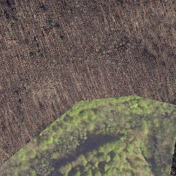Satellite imagery of Palmberg, DE