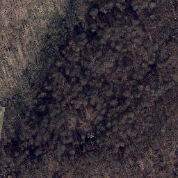 Satellite imagery of Palmberg, DE