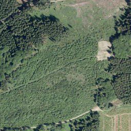 Satellite imagery of Hasenknick, DE