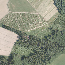 Satellite imagery of Brachtt (Beisinghausen), DE