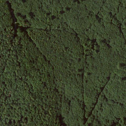 Satellite imagery of Erdfallskopf, DE