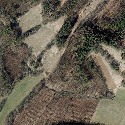 Satellite imagery of Eichberg, DE