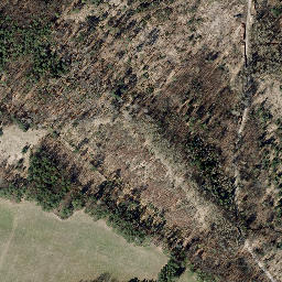Satellite imagery of Eichberg, DE